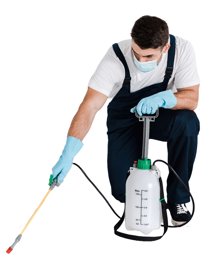 Sakarya Haşere İlaçlama Sık Sorulan Sorular